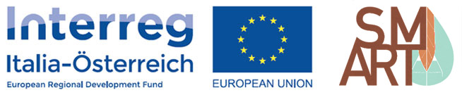 Logo Interreg Italia - Österreich